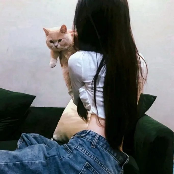 女人韵事